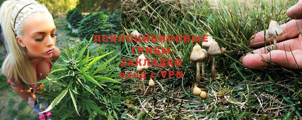 тгк Баксан
