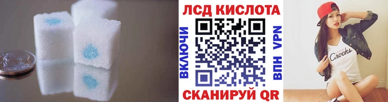 дарнет шоп  Электрогорск  Лсд 25 экстази кислота 