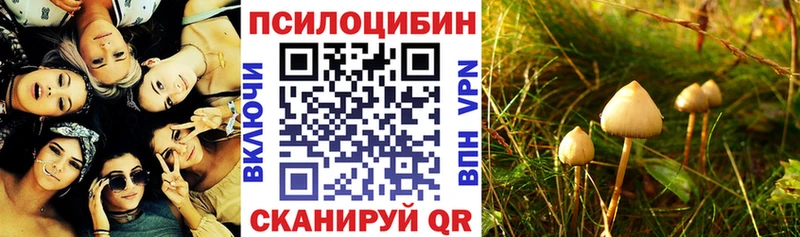 Псилоцибиновые грибы Cubensis  Электрогорск 